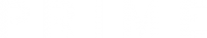 2019 PRIME Logo White