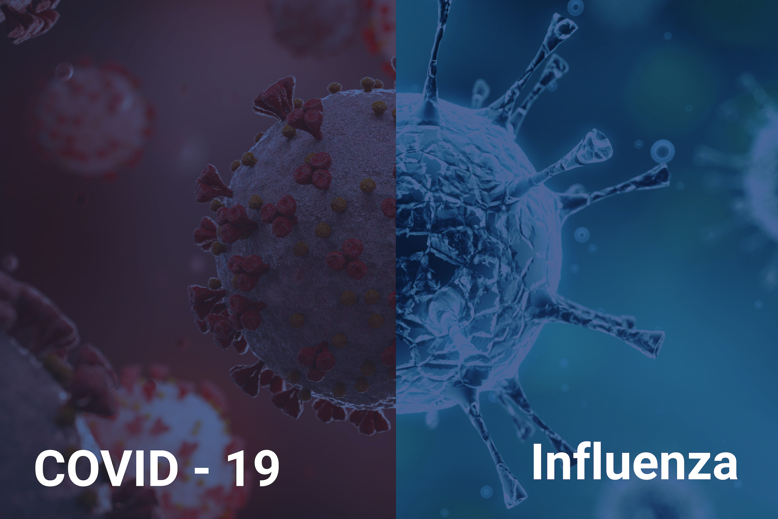 What Happens When The Flu Meets Covid-19?